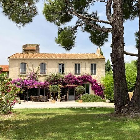 Maison Tara Verte Au Mas Montredon Arles Exterior foto