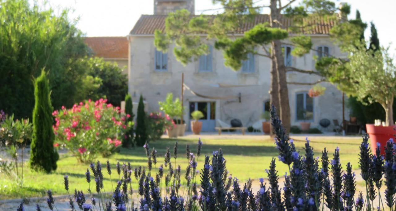 Maison Tara Verte Au Mas Montredon Arles Exterior foto