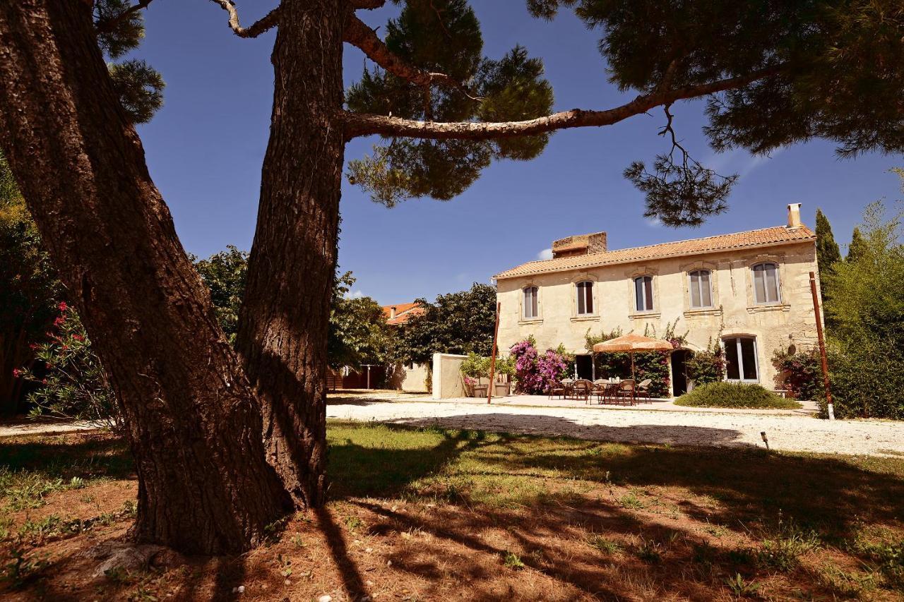Maison Tara Verte Au Mas Montredon Arles Exterior foto