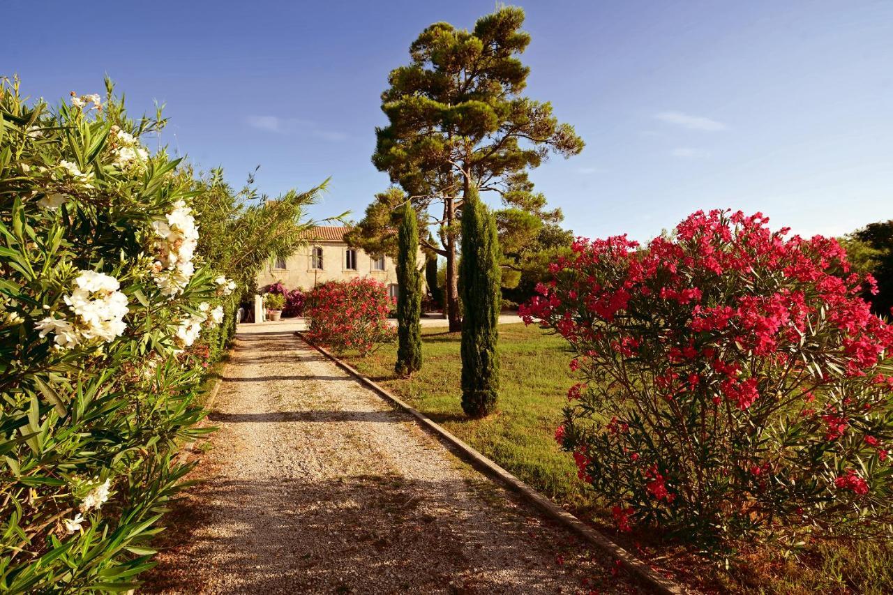 Maison Tara Verte Au Mas Montredon Arles Exterior foto
