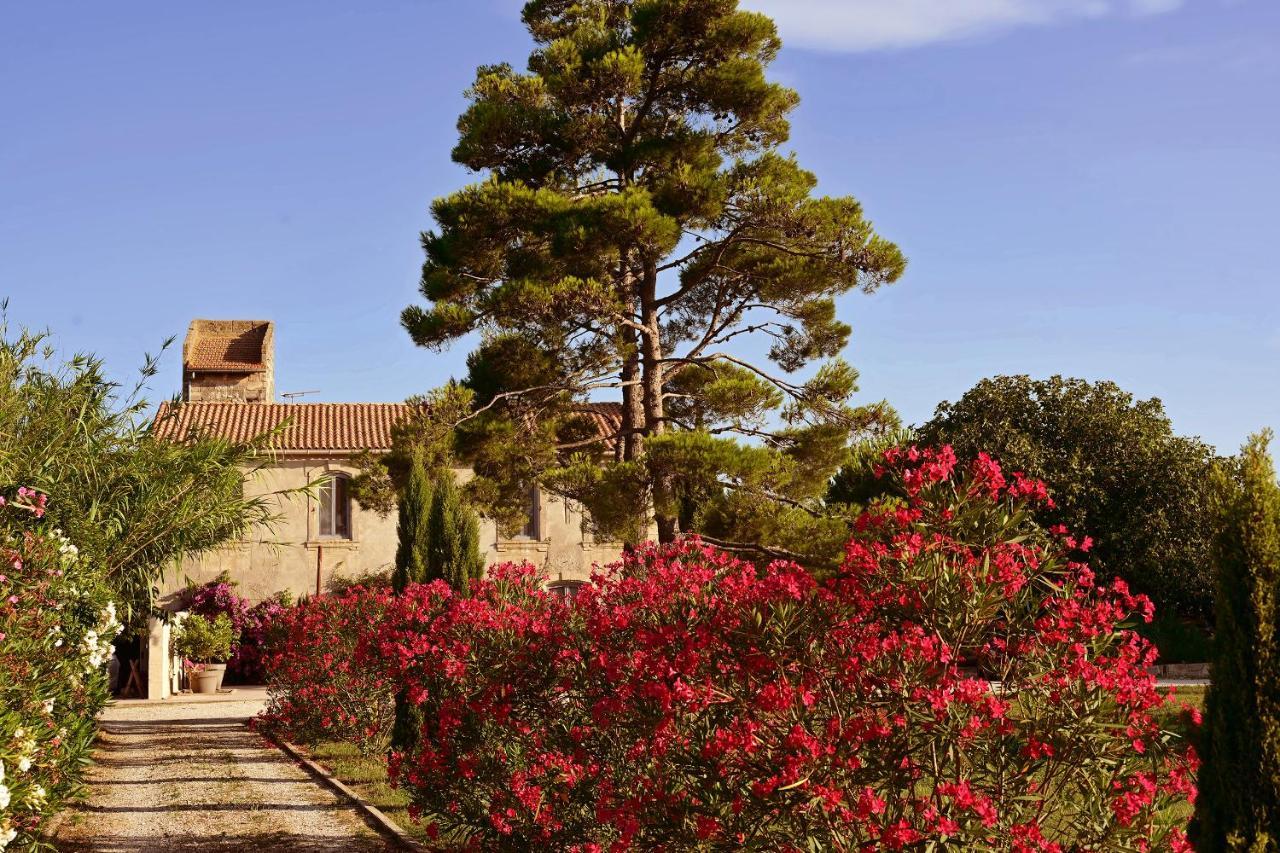 Maison Tara Verte Au Mas Montredon Arles Exterior foto