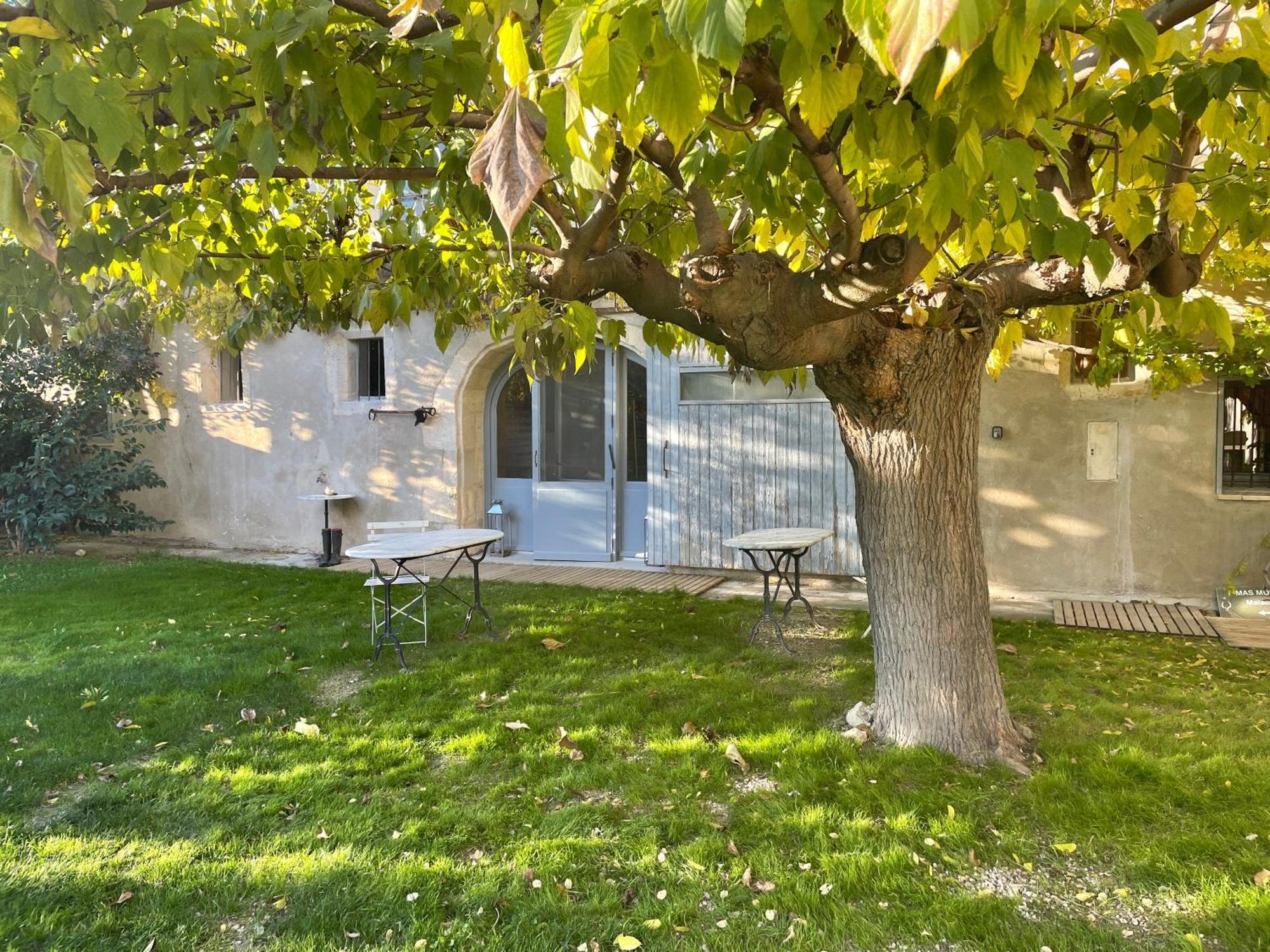 Maison Tara Verte Au Mas Montredon Arles Exterior foto