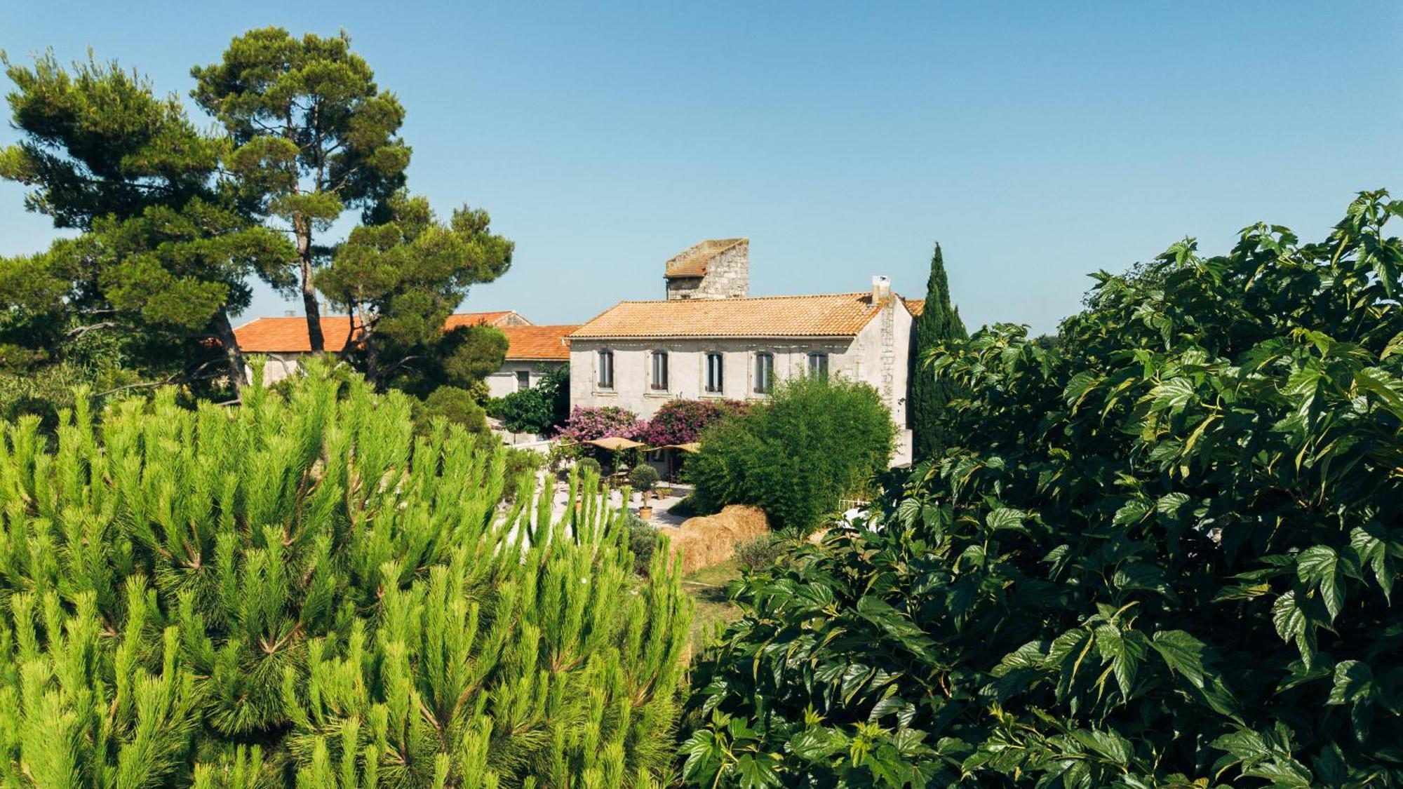 Maison Tara Verte Au Mas Montredon Arles Exterior foto